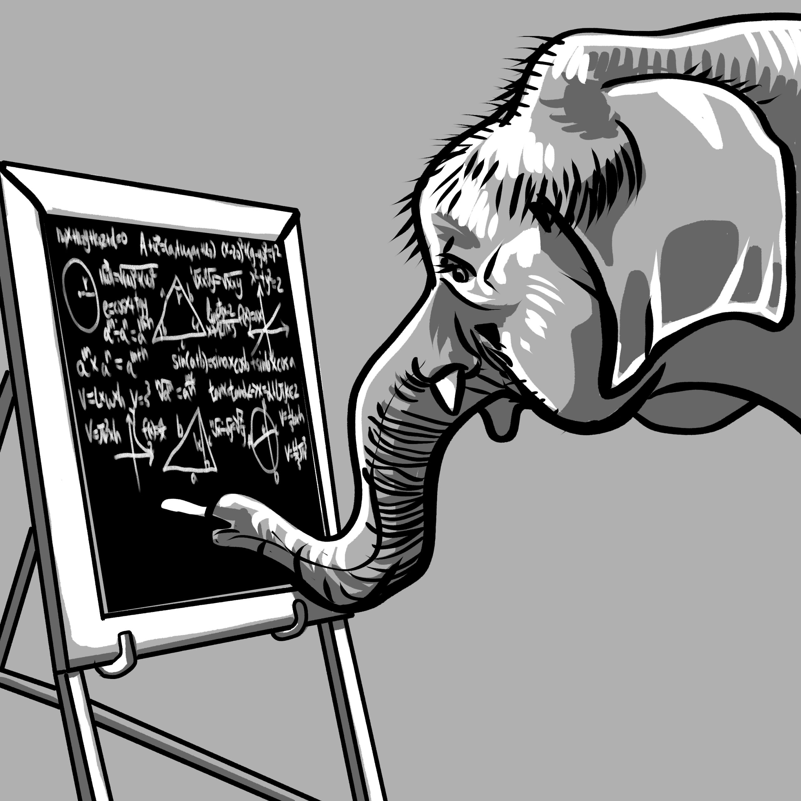 Mathy Elephant